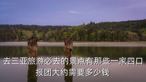 哪個景區(qū)能去三亞旅游團，去三亞旅游必去的景點有那些一家四口報團大約需要多少錢