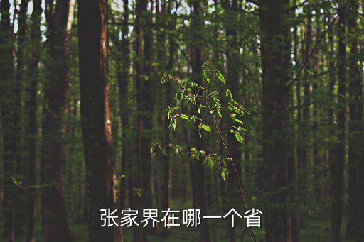 張家界在哪一個(gè)省
