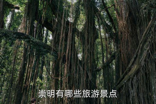 崇明有哪些旅游景區(qū)，崇明有哪些旅游景點(diǎn)