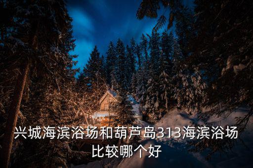 興城海濱浴場(chǎng)和葫蘆島313海濱浴場(chǎng)比較哪個(gè)好