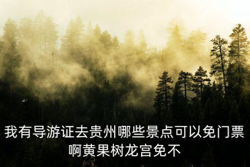我有導游證去貴州哪些景點可以免門票啊黃果樹龍宮免不