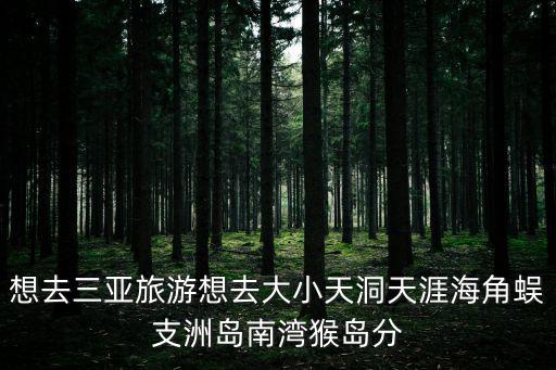想去三亞旅游想去大小天洞天涯海角蜈支洲島南灣猴島分