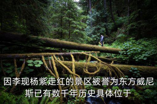 因李現(xiàn)楊紫走紅的景區(qū)被譽(yù)為東方威尼斯已有數(shù)千年歷史具體位于
