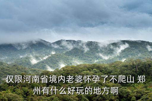 僅限河南省境內(nèi)老婆懷孕了不爬山 鄭州有什么好玩的地方啊