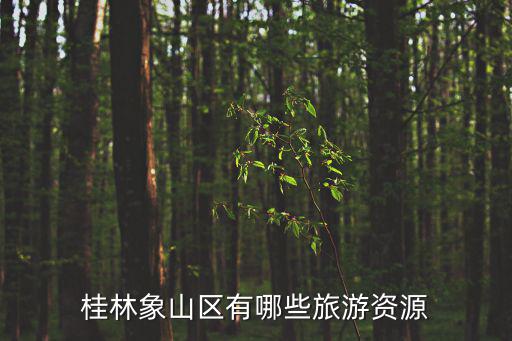 桂林象山區(qū)有哪些旅游資源
