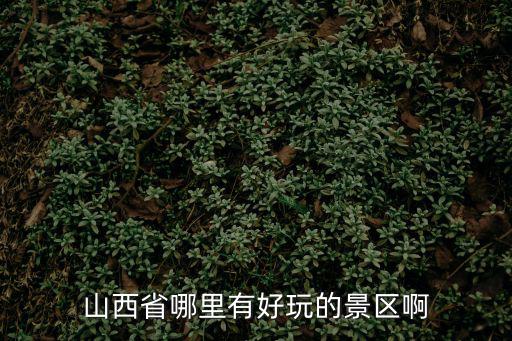 山西省哪里有好玩的景區(qū)啊