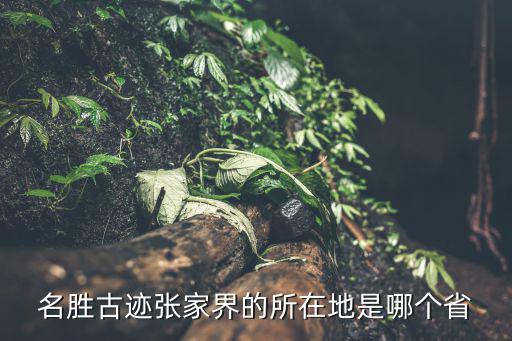 張家界旅游景區(qū)在哪個(gè)省，張家界風(fēng)景區(qū)位于我國(guó)的哪個(gè)省份