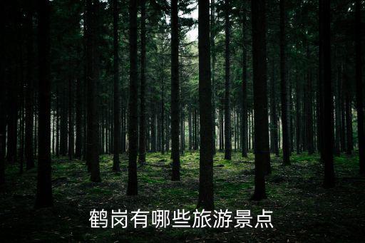 鶴崗有哪些旅游景點(diǎn)