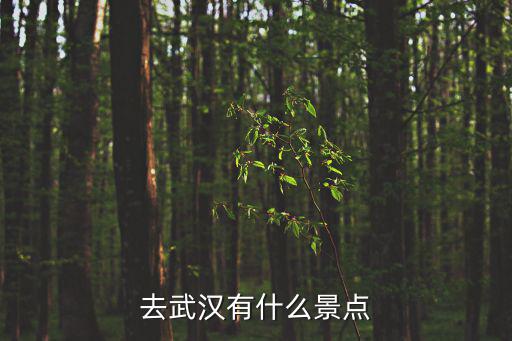 到武漢有哪些旅游景區(qū)，去武漢有什么景點