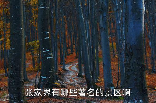 張家界有哪些著名的景區(qū)啊