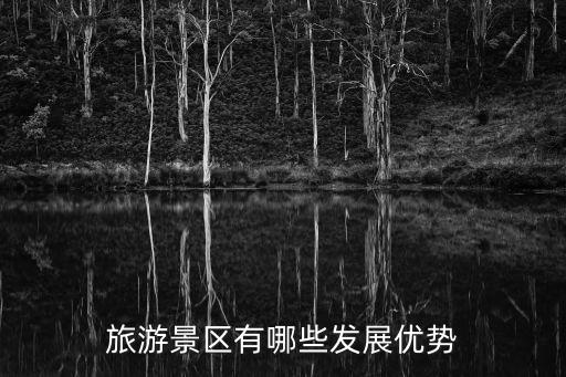 旅游成功景區(qū)有哪些優(yōu)勢(shì)，旅游景區(qū)在旅游業(yè)中有哪些重要作用