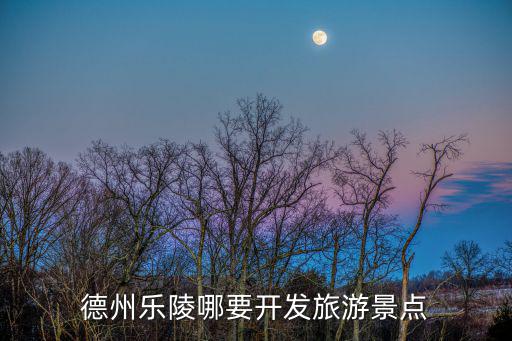哪些景區(qū)需要旅游開(kāi)發(fā)，德州樂(lè)陵哪要開(kāi)發(fā)旅游景點(diǎn)