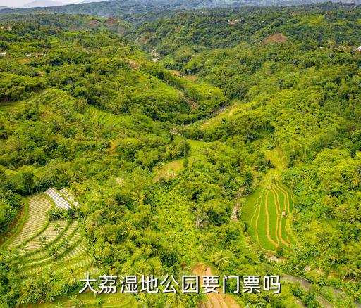 大荔旅游免費景區(qū)有哪些，渭南市大荔縣有啥好玩的地方