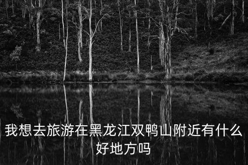 我想去旅游在黑龍江雙鴨山附近有什么好地方嗎