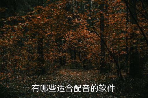 旅游景區(qū)配音軟件有哪些，有沒有介紹旅游景點(diǎn)語音講解的旅游軟件啊地點(diǎn)可以是中國
