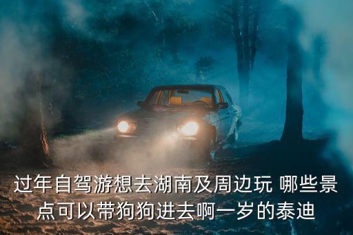 過(guò)年自駕游想去湖南及周邊玩 哪些景點(diǎn)可以帶狗狗進(jìn)去啊一歲的泰迪