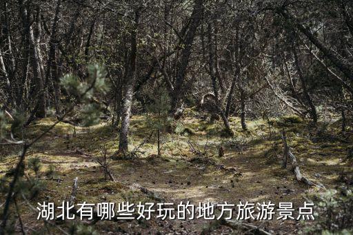 湖北戶外旅游景區(qū)有哪些，湖北旅游景點(diǎn)推薦哪些