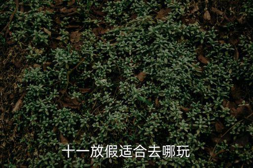 十一放假適合去哪玩