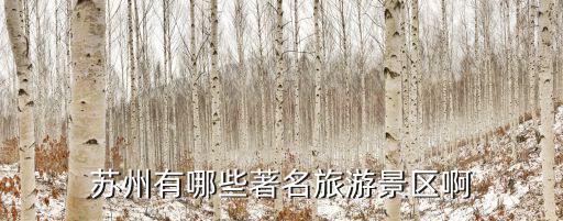 蘇州有哪些著名旅游景區(qū)啊