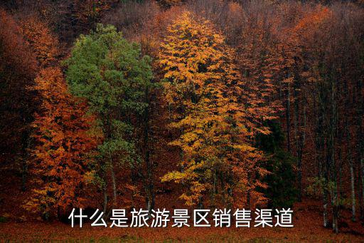 旅游景區(qū)銷售有哪些渠道，旅游景區(qū)的銷售渠道是什么