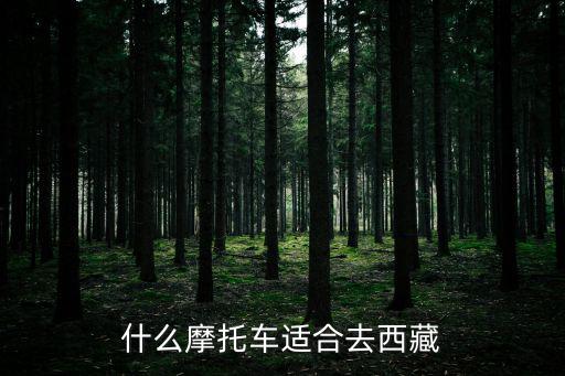 什么摩托車適合去西藏