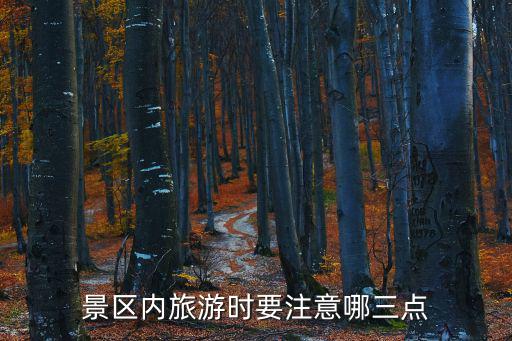 景區(qū)內(nèi)旅游時要注意哪三點