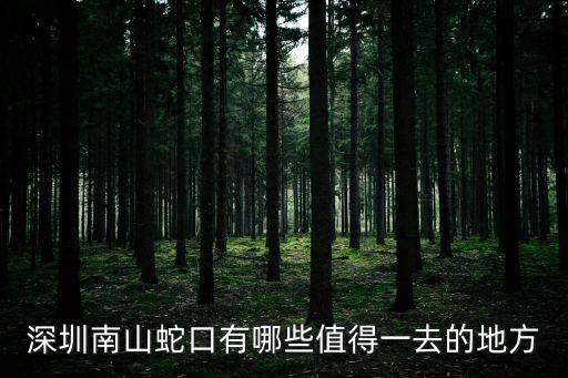 深圳南山蛇口有哪些值得一去的地方