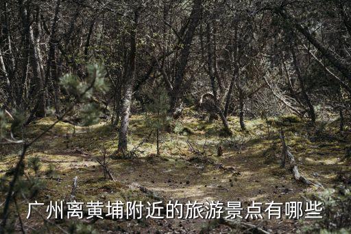 廣州離黃埔附近的旅游景點(diǎn)有哪些