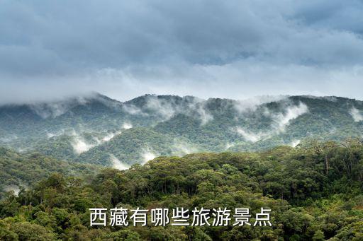西藏有哪些旅游景點(diǎn)