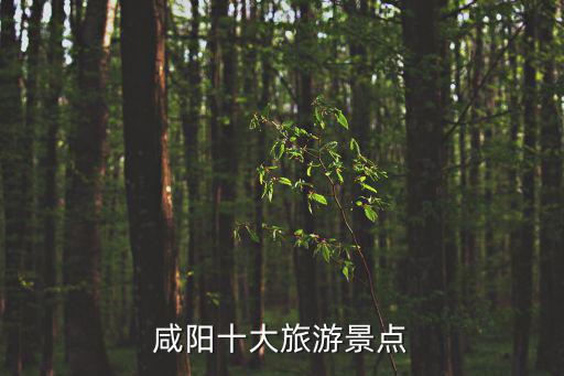 咸陽(yáng)附近有哪些旅游景區(qū)，咸陽(yáng)附近有哪些好景點(diǎn)