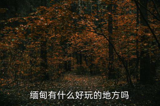 緬甸有什么好玩的地方嗎