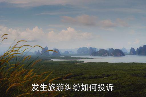 發(fā)生旅游糾紛如何投訴