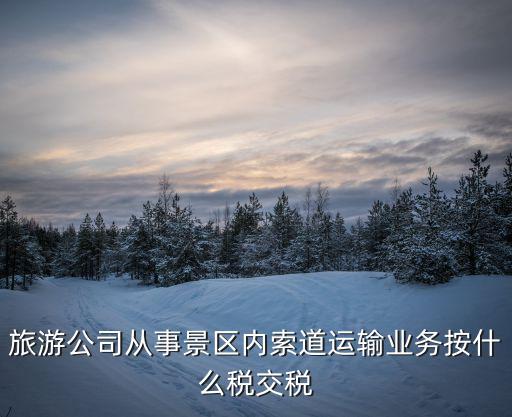 旅游景區(qū)商戶絞哪些稅，旅游公司從事景區(qū)內(nèi)索道運(yùn)輸業(yè)務(wù)按什么稅交稅