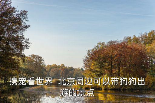 攜寵看世界  北京周邊可以帶狗狗出游的景點