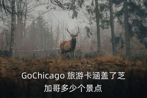 GoChicago 旅游卡涵蓋了芝加哥多少個景點