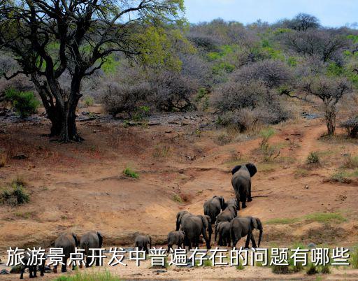 旅游景區(qū)的不足有哪些，中國旅游市場的不足有哪些