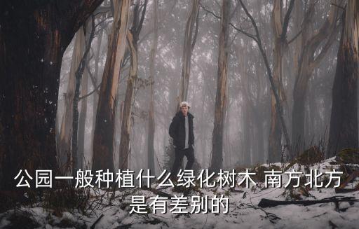 公園一般種植什么綠化樹木 南方北方是有差別的