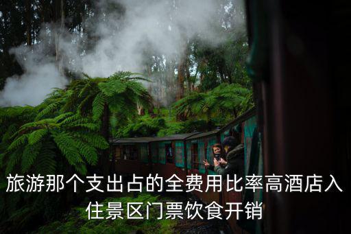 旅游那個支出占的全費用比率高酒店入住景區(qū)門票飲食開銷
