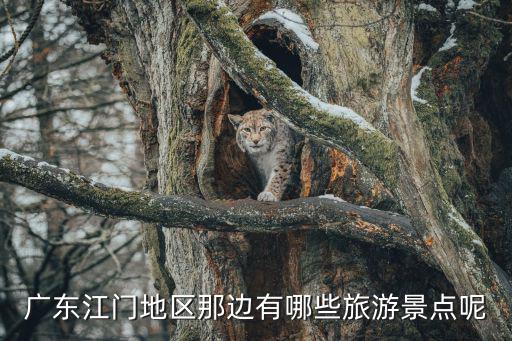 廣東江門地區(qū)那邊有哪些旅游景點呢