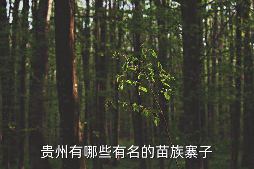 貴州旅游景區(qū)苗寨有哪些，貴州有哪些有意思的苗寨景點(diǎn)可以一游呢如題 謝謝了