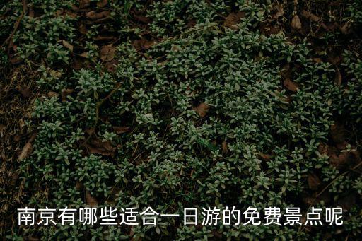 旅游日南京哪些景區(qū)免費，南京哪些景點免費
