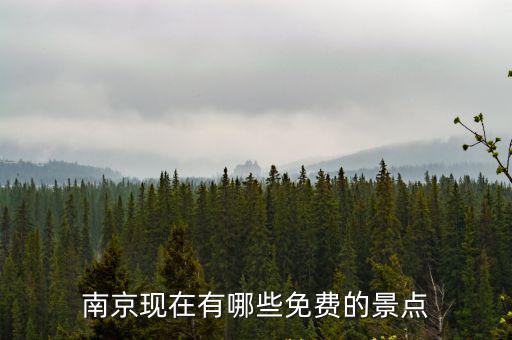 南京現(xiàn)在有哪些免費的景點