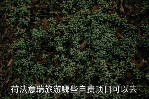 荷法意瑞旅游哪些自費項目可以去