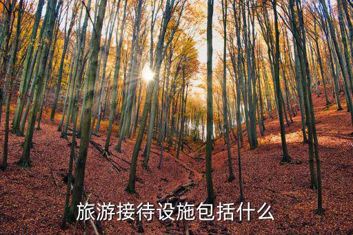 旅游接待設施包括什么