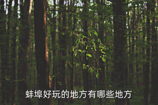 安徽蚌埠有哪些旅游景區(qū)，蚌埠的旅游景點有哪些