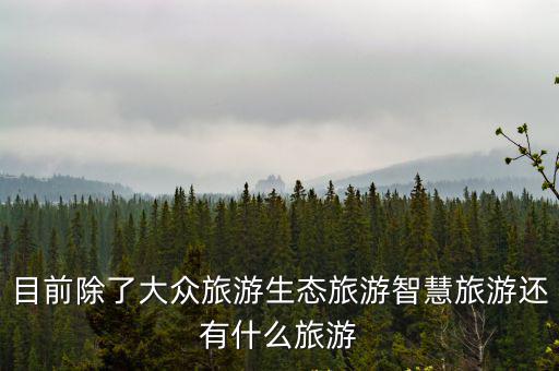 目前除了大眾旅游生態(tài)旅游智慧旅游還有什么旅游
