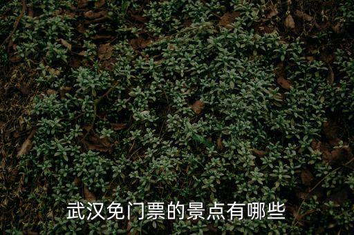 武漢免門票的景點有哪些