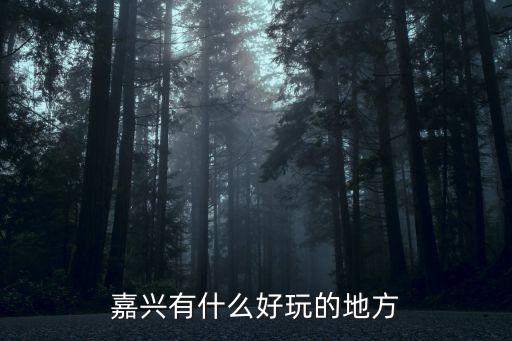 嘉興有什么好玩的地方