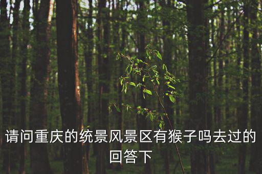 重慶哪些旅游景區(qū)有猴子，哪個(gè)旅游區(qū)猴子多