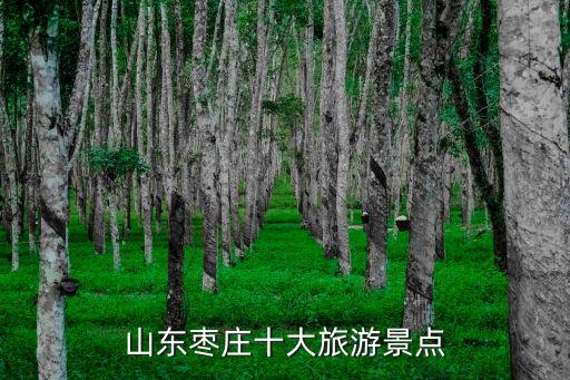 棗莊礦山旅游景區(qū)有哪些，山東棗莊有什么好玩的景點(diǎn)